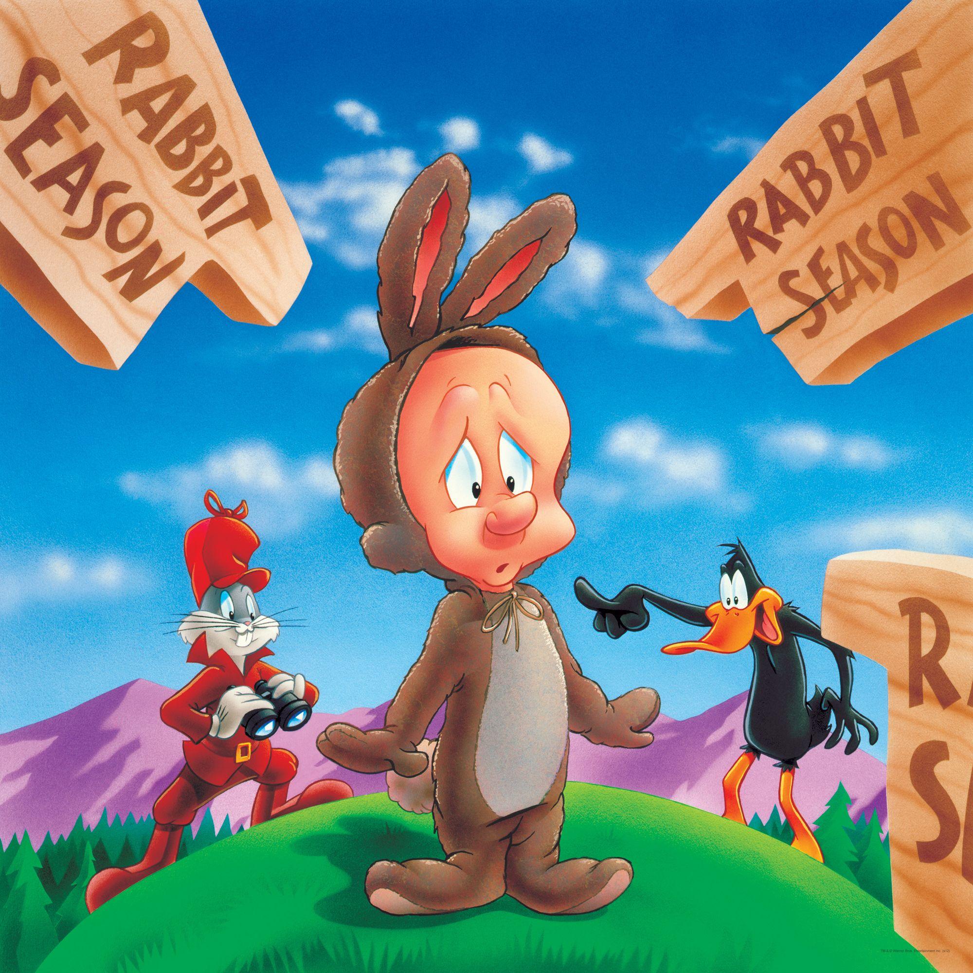 2000x2000 elmer, Fudd, Looney, Tunes, Daffy Wallpaper HD / Desktop