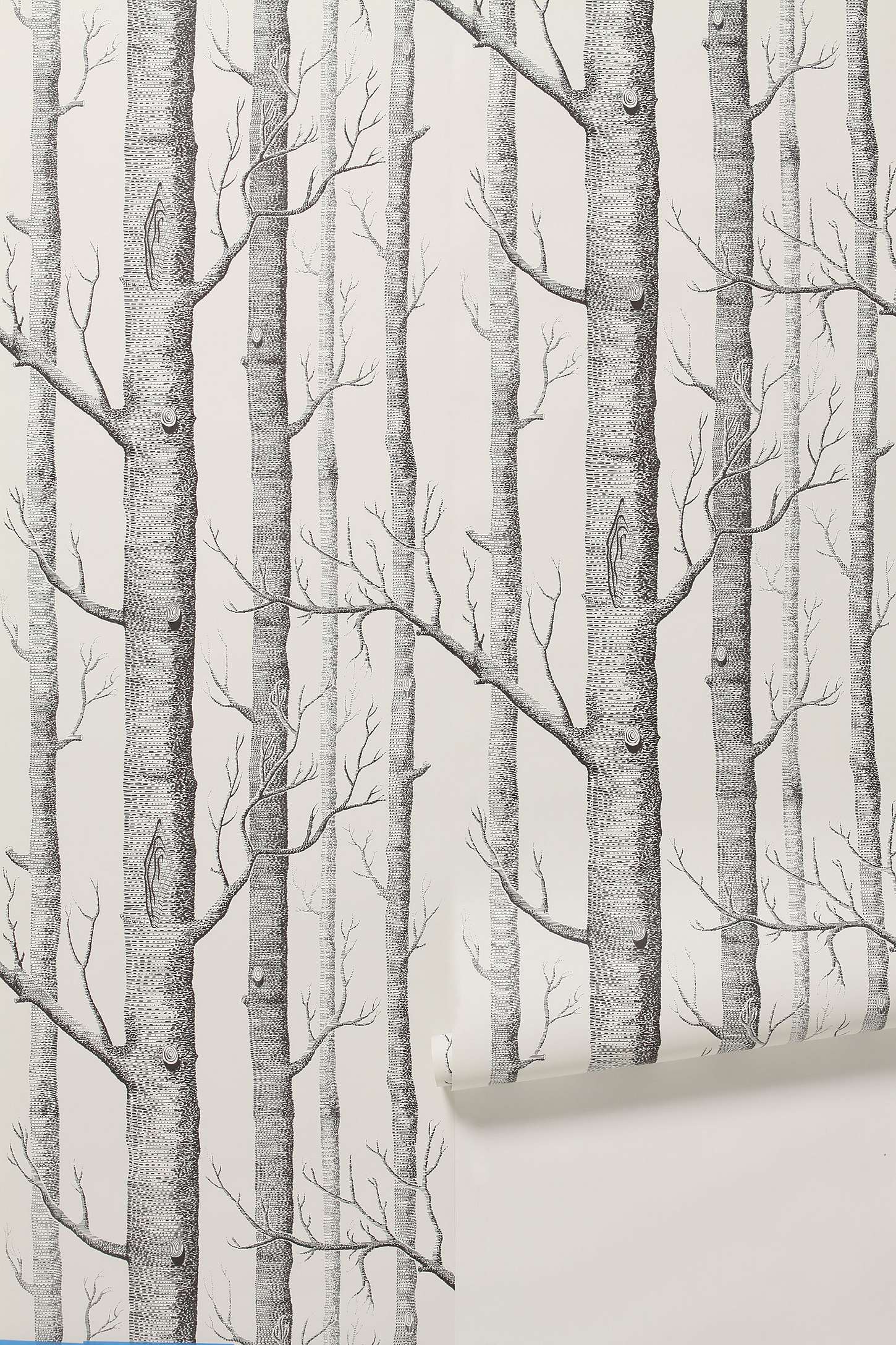 1450x2175 Woods Wallpaper. Birch tree wallpaper, Tree wallpaper, Home wallpaper