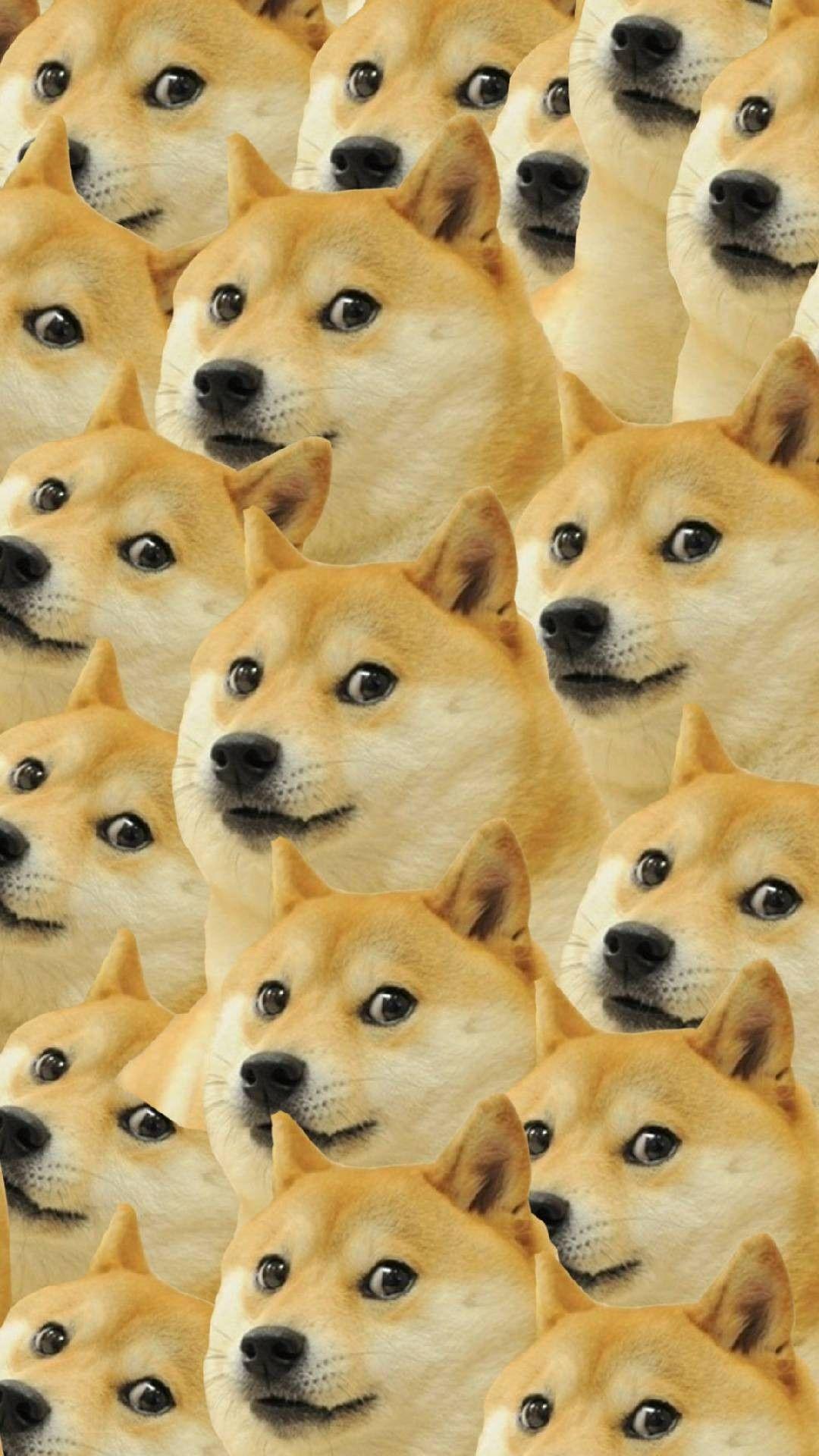 Doge Phone Wallpapers - Top Free Doge Phone Backgrounds - WallpaperAccess