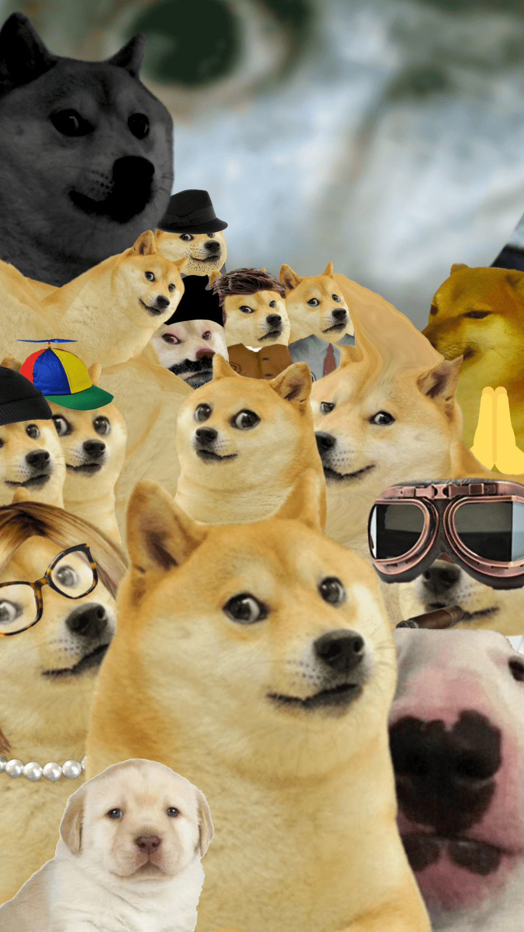 Doge Wallpapers  Wallpaper Cave