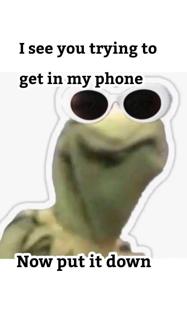 720x1280 Kermit meme wallpaper