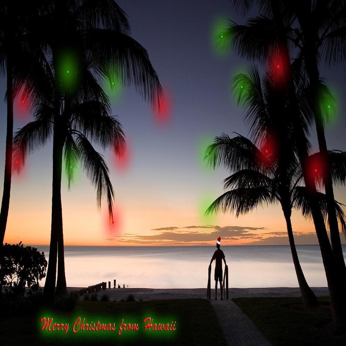 Hawaii Christmas Wallpapers - Top Free Hawaii Christmas Backgrounds
