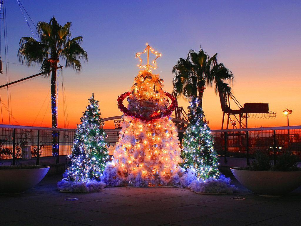 Hawaii Christmas Wallpapers - Top Free Hawaii Christmas Backgrounds