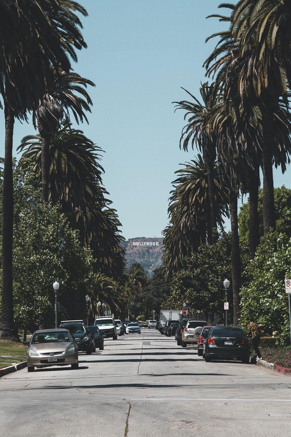 1000x1500 Los Angeles Wallpaper. Download Free Image