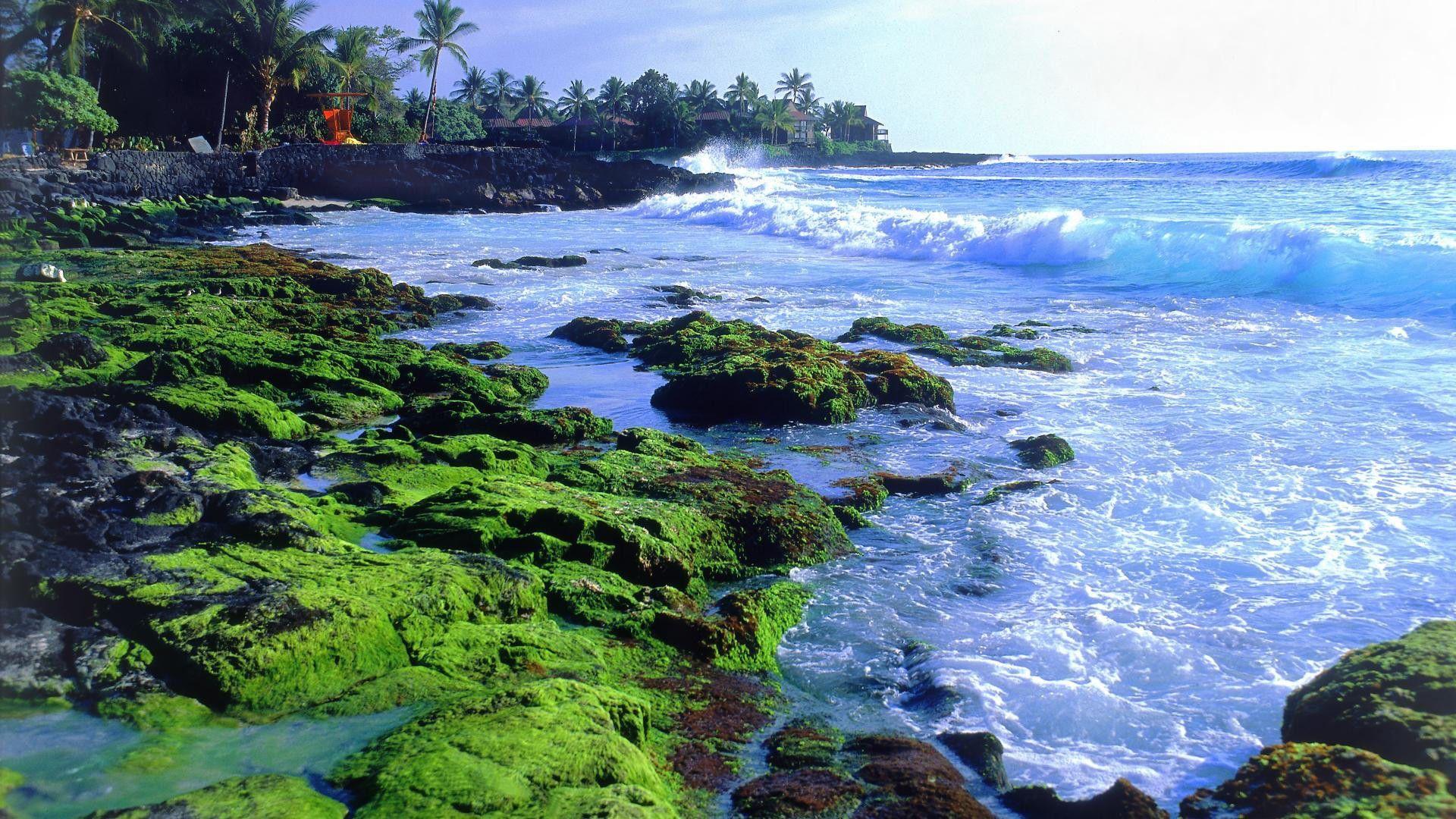 1920x1080 Island, hawaii, coast, wallpaper, christmas, travel, image