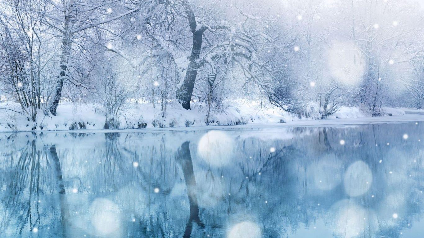 1366x768 Glamorous Snow Trees & Sea desktop PC and Mac wallpaper