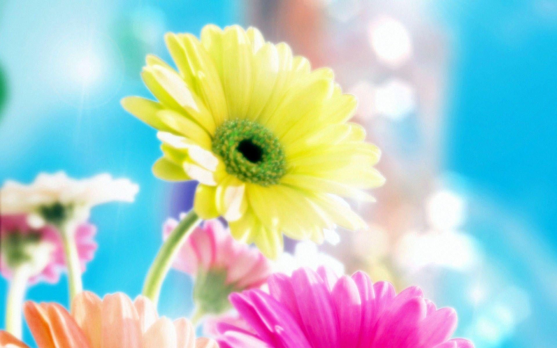 1920x1200 Glamorous Background