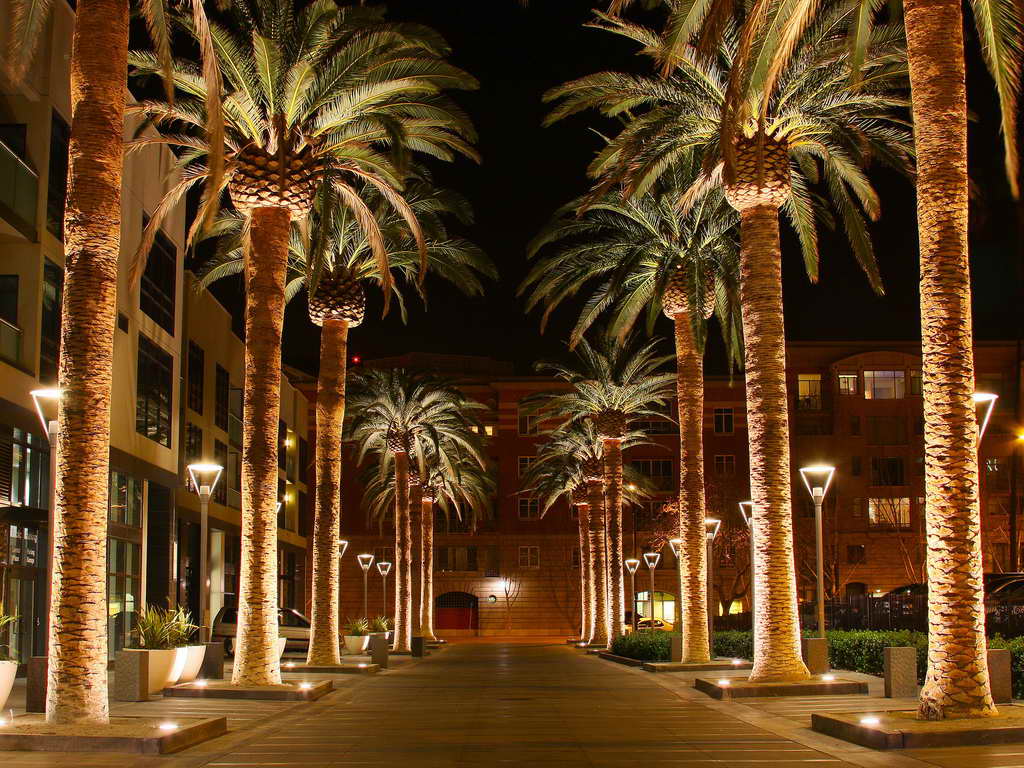 Hawaii Christmas Wallpapers Top Free Hawaii Christmas Backgrounds