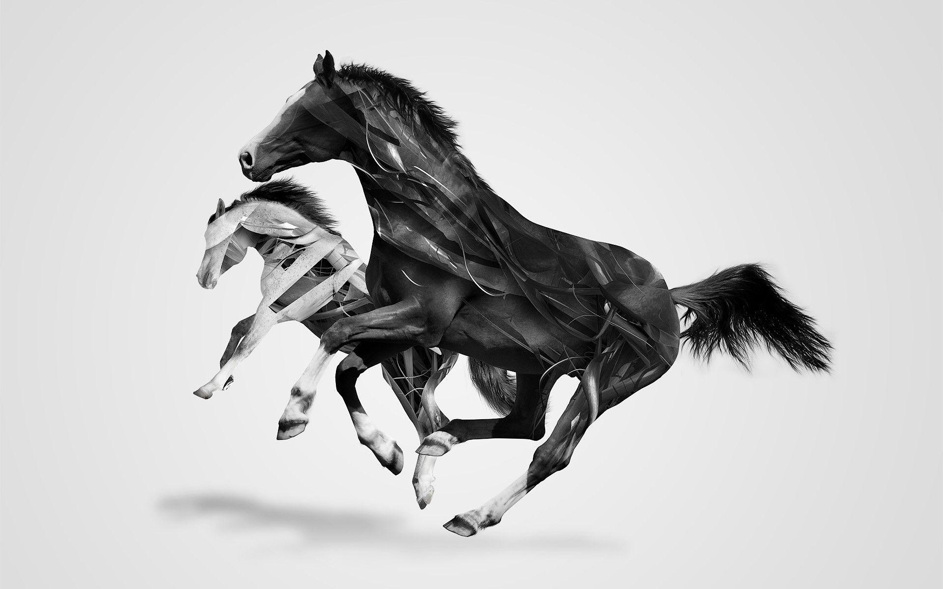 1920x1200 iPhone 5s Wallpaper Horse