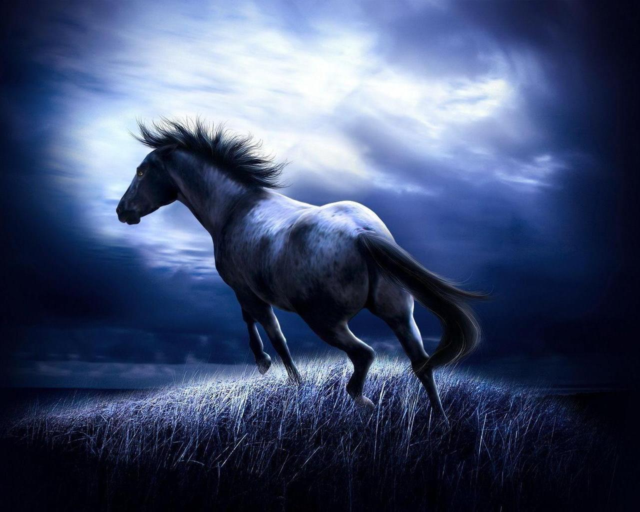 1280x1024 Free download 3D Horse Desktop HD Wallpaper 3D Abstract Wallpaper