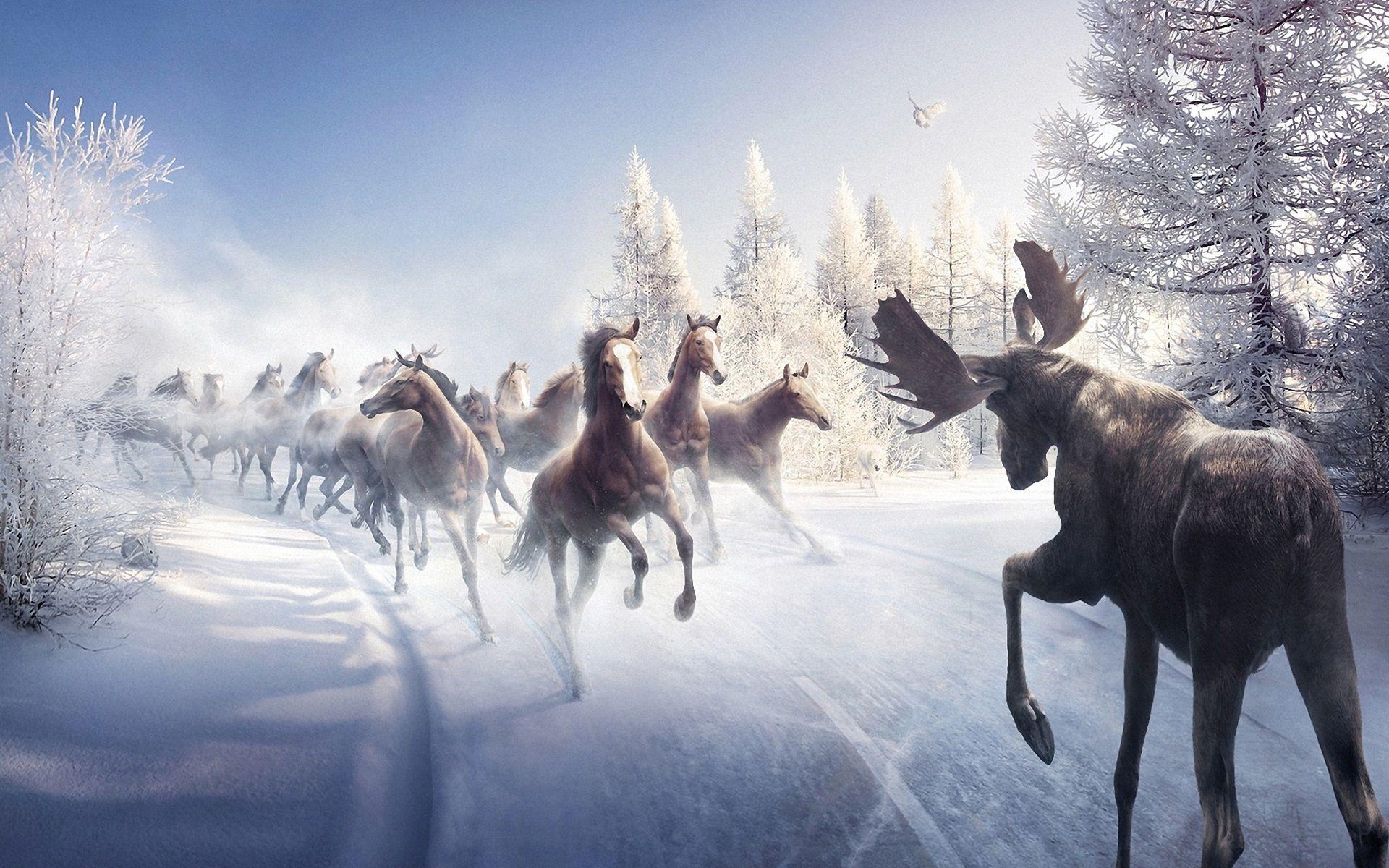 1920x1200 Wallpaper Horses In Winter Running .best
