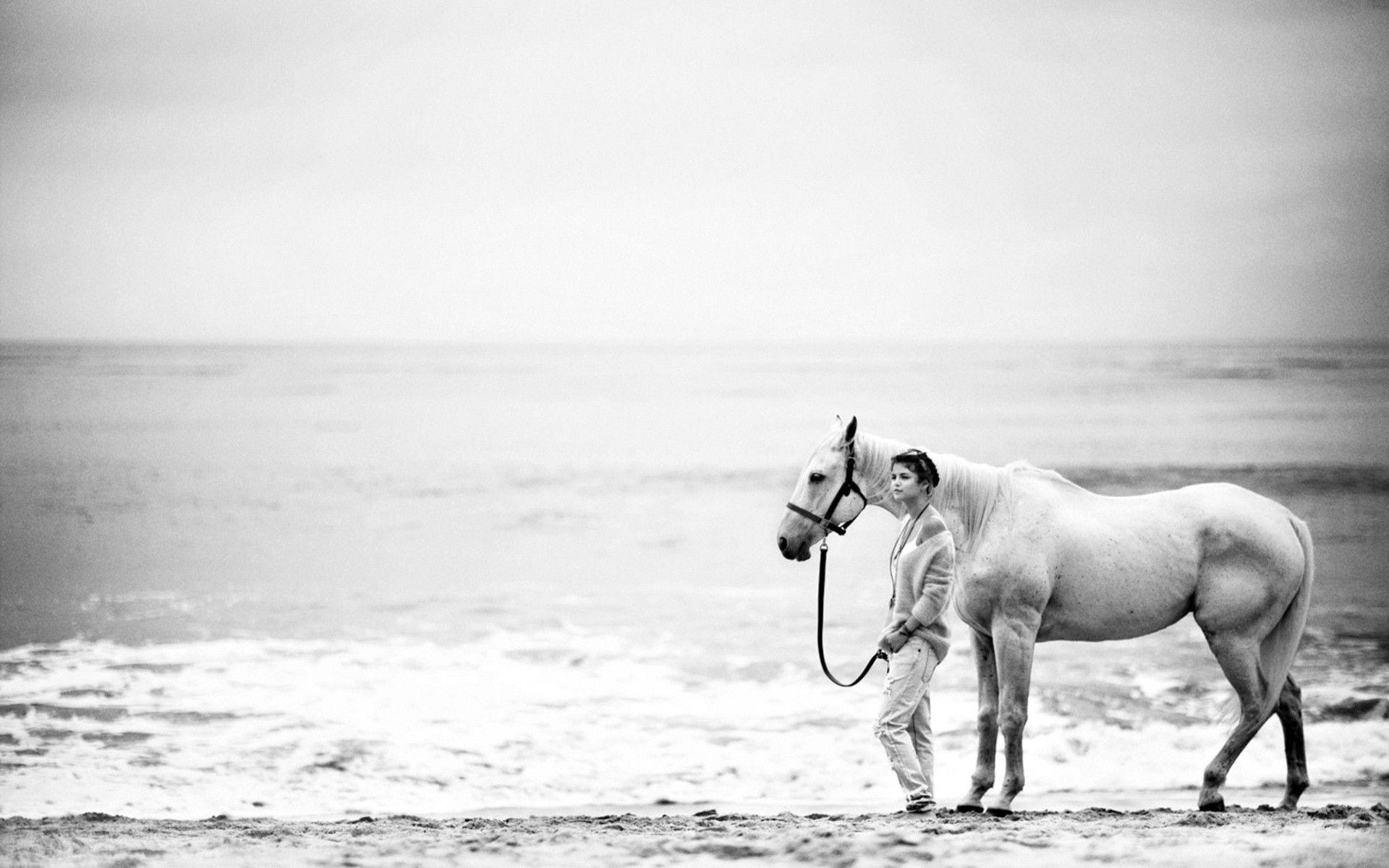 1920x1200 Horse, White, People, Sea, Sand, Seascape, Windows, Abstract HD