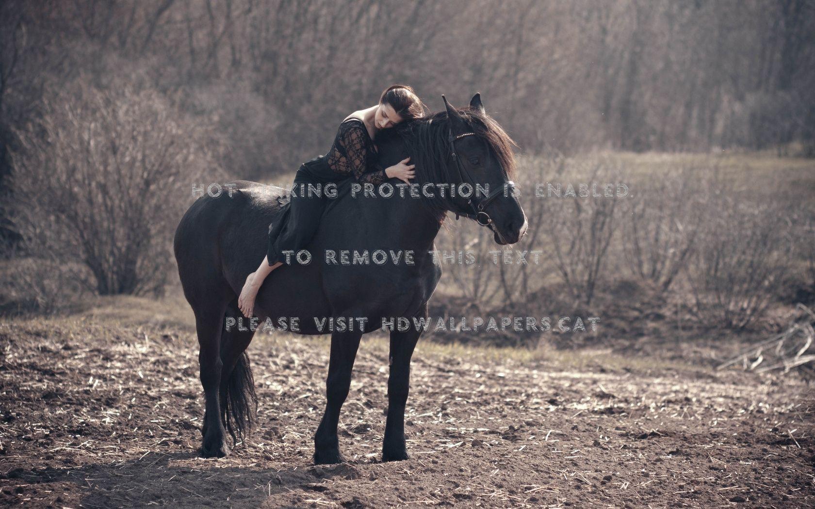 1680x1050 rider animal hug horse abstract photography
