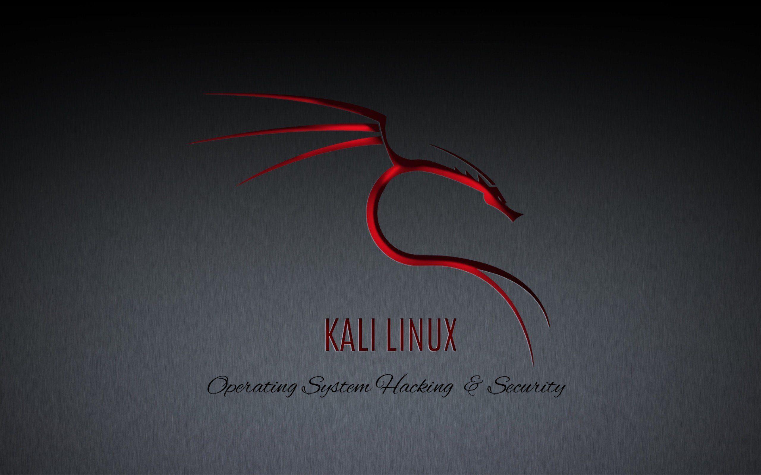2560x1600 Linux, GNU, Kali Linux, Kali Linux NetHunter Wallpaper HD / Desktop and Mobile Background