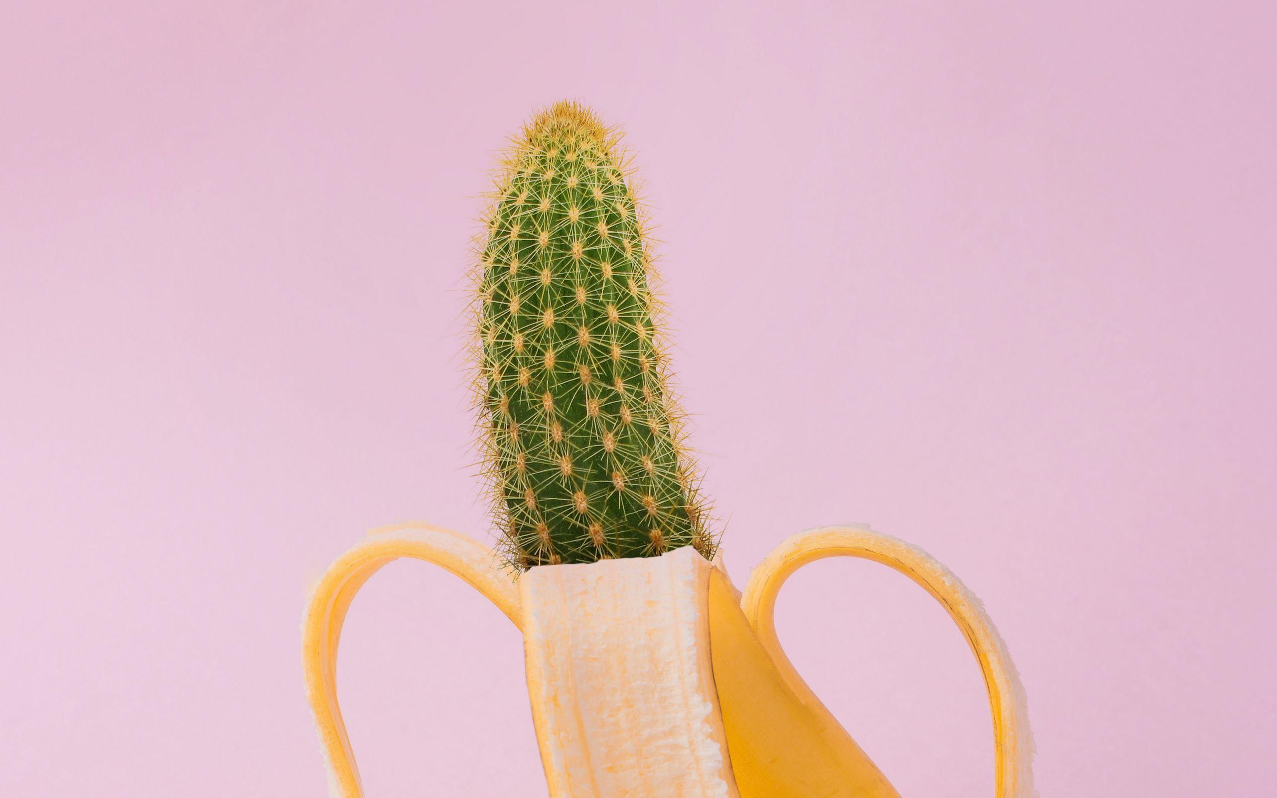 2560x1600 Download wallpaper 2560x1600 banana, cactus, creative, minimalism