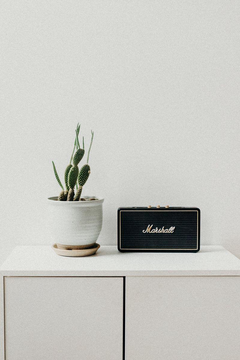 800x1200 Download wallpaper 800x1200 cactus, radio, nightstand, minimalism