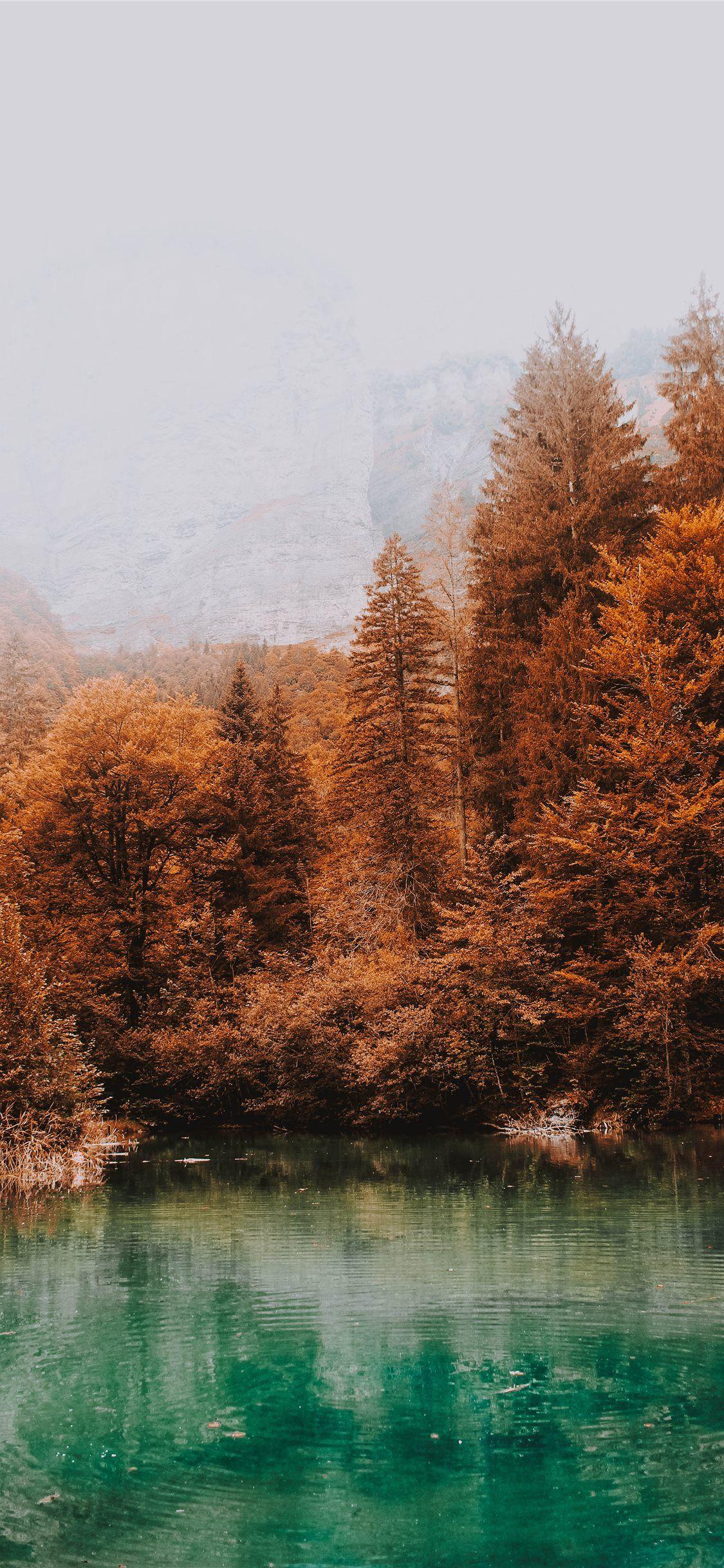 1125x2436 blue lake surrounded by brown leafed trees iPhone 11 Wallpaper Free Download