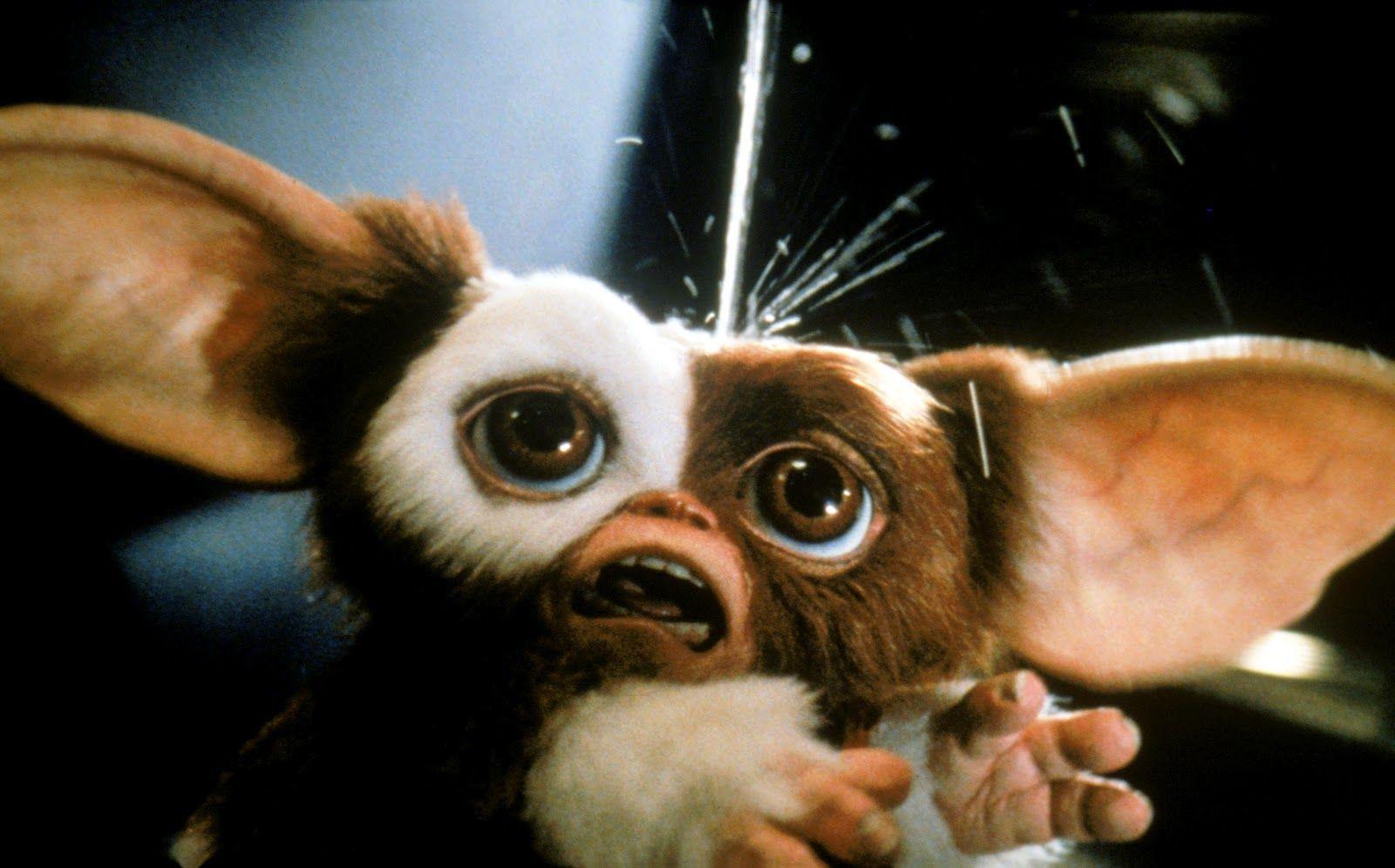 very cute gizmo the mogwai gremlin in the movie  Stable Diffusion  OpenArt