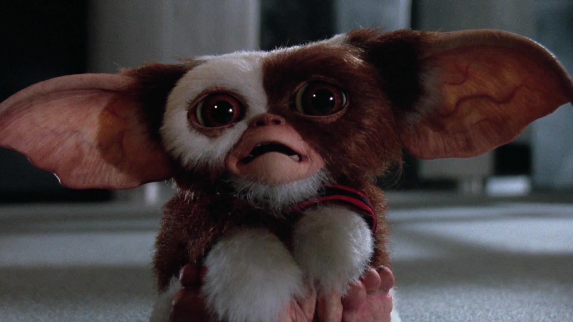 1920x1080 Gremlins 2: The New Batch HD Wallpaper. Background Image