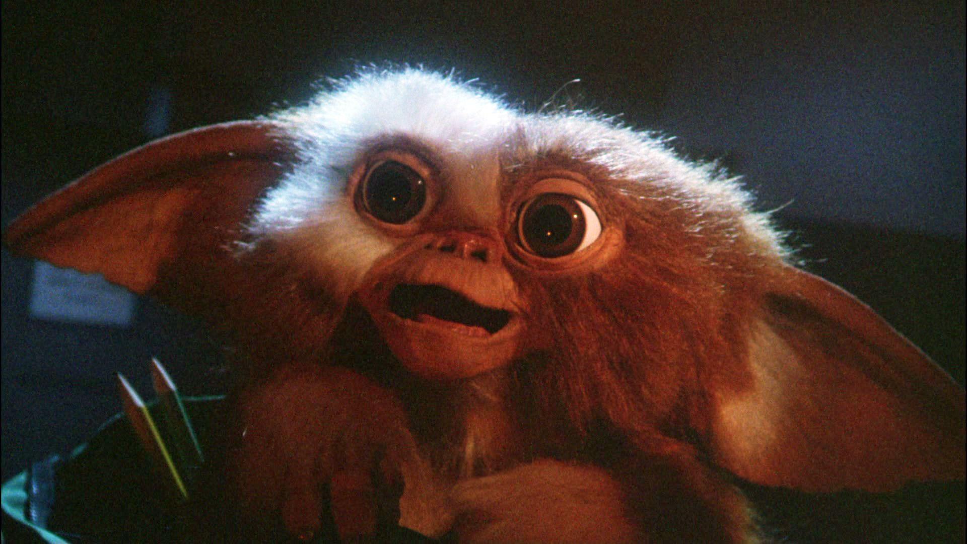 1920x1080 Gizmo Gremlins Wallpaper