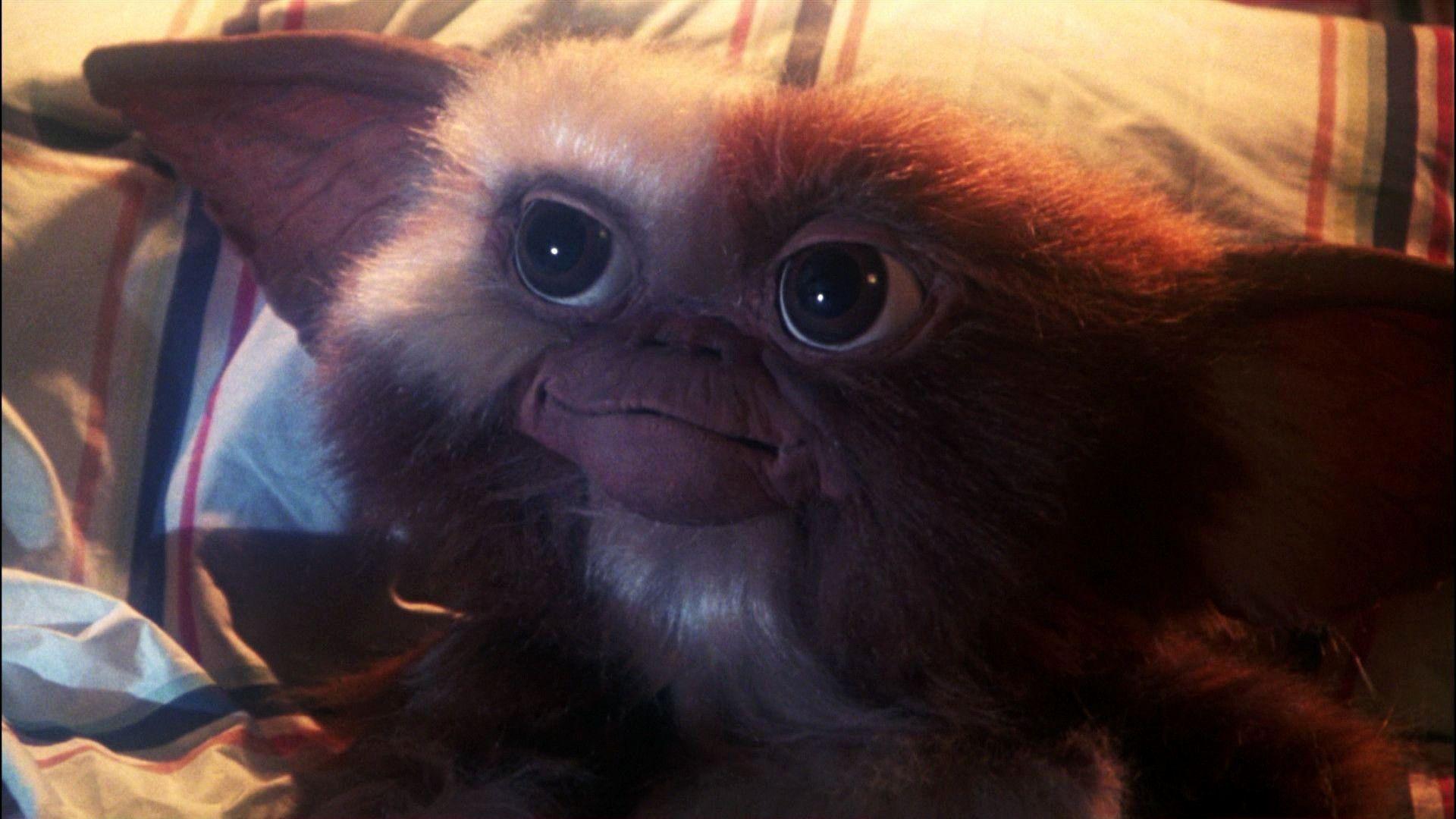 1920x1080 Best Of Gremlins Wallpaper for You