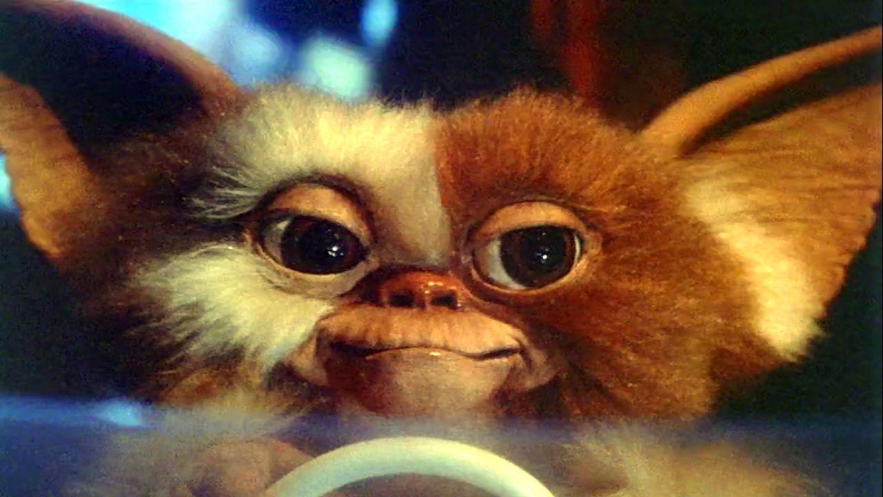 1280x720 Gremlins Gizmo Wallpaper