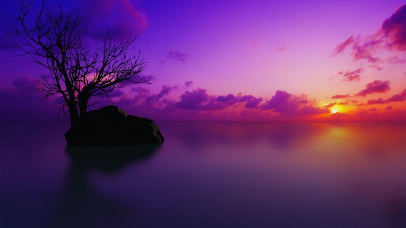 1366x768 Nature Purple Wallpapers Top Free 1366x768 Nature Purple Backgrounds Wallpaperaccess