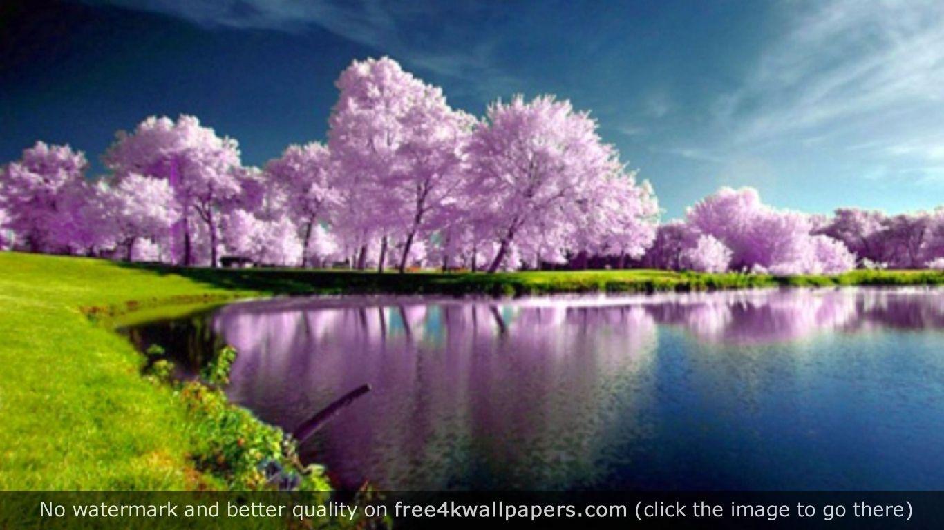 1366x768 Nature Purple Wallpapers Top Free 1366x768 Nature Purple Backgrounds Wallpaperaccess