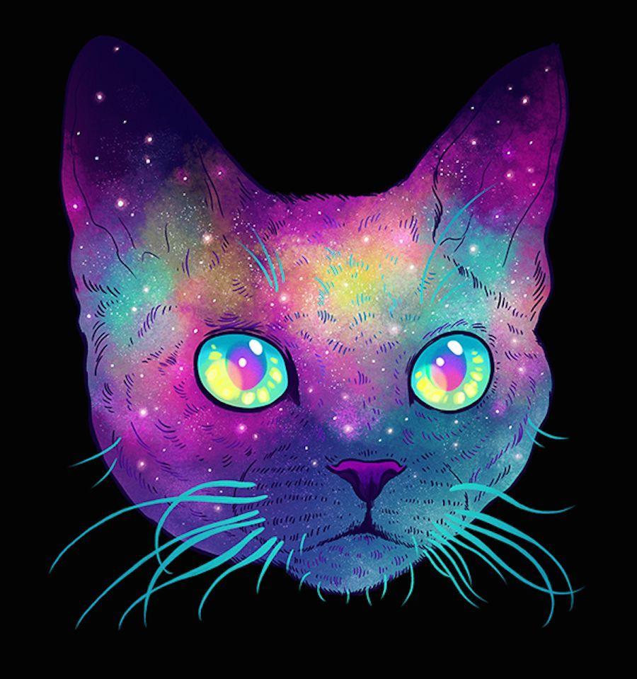 900x959 Galactic Cats Series