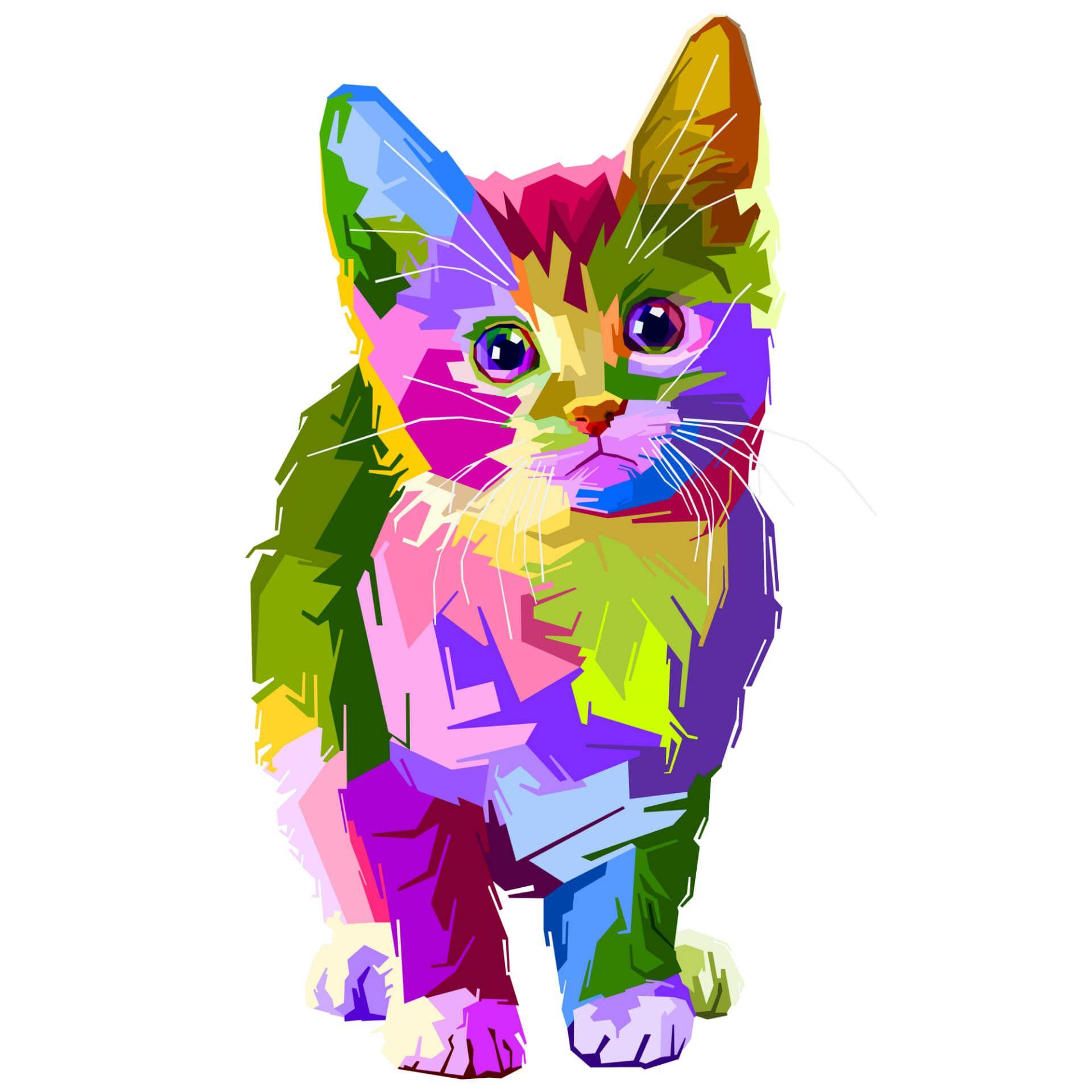 1920x1920 decoration cat wallpaper