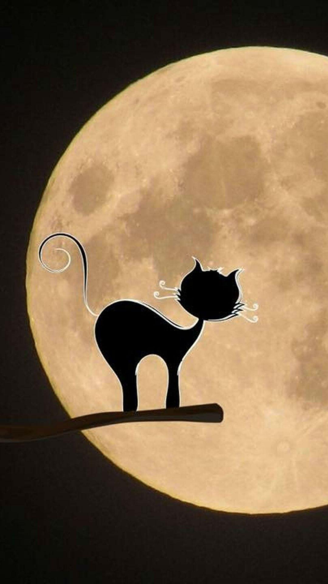 1080x1920 Black Mystical Cat Wallpaper