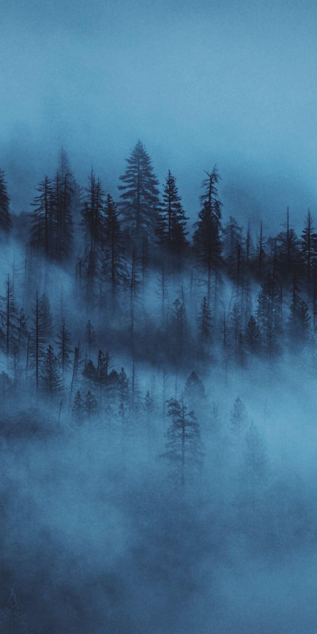 1080x2160 Dark, mist, trees, forest, 1080x2160 wallpaper. Forest wallpaper, Dark phone wallpaper, Nature wallpaper