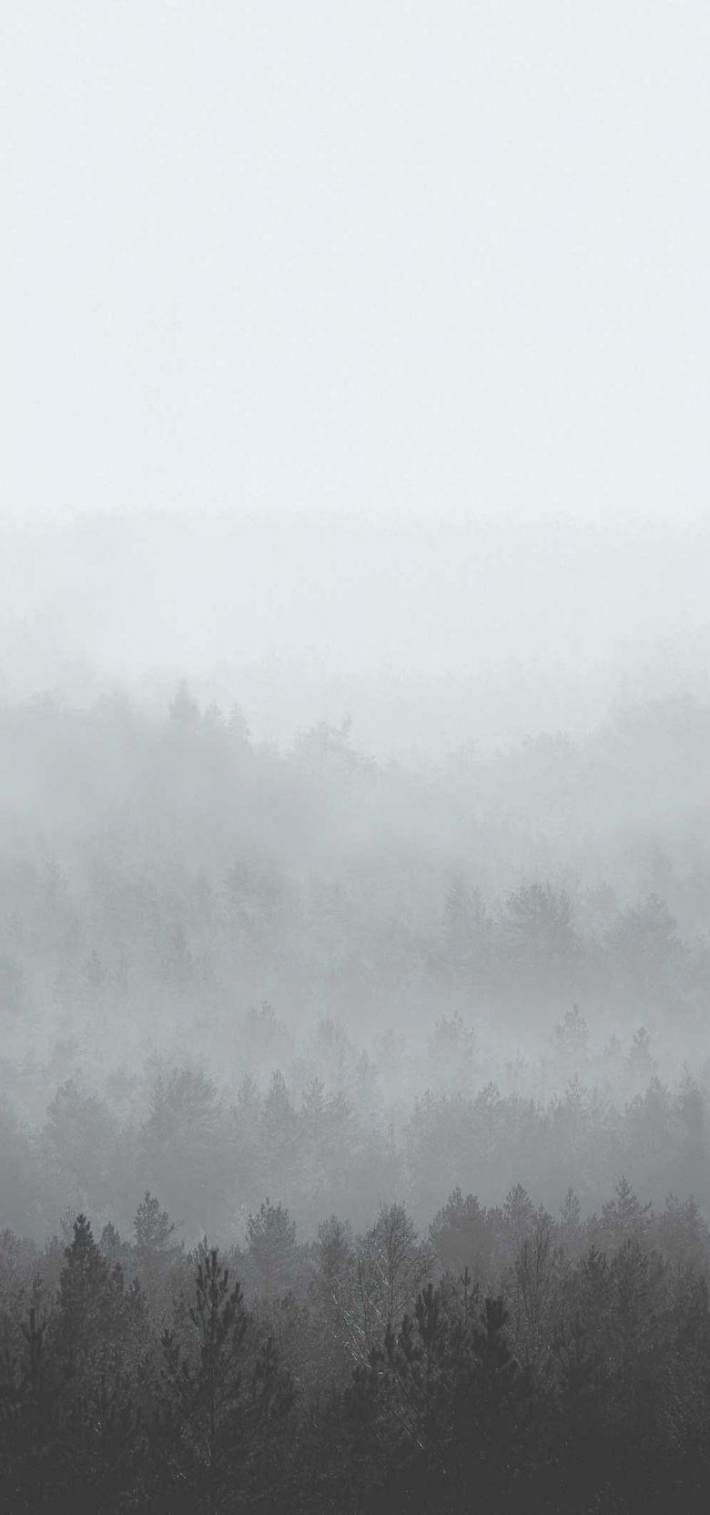 780x1663 Vintage Forest Wallpaper. FEATHR™