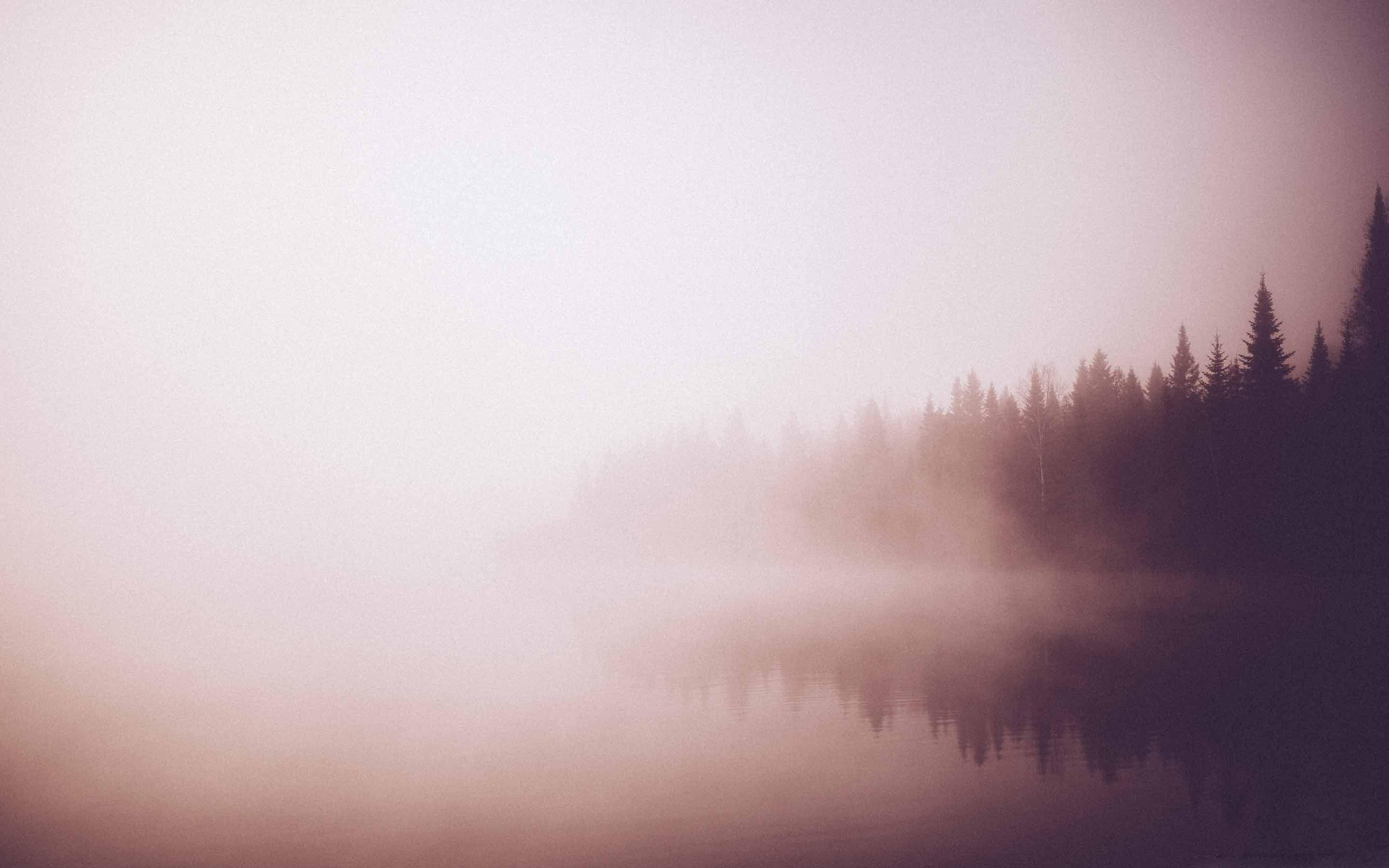 2880x1800 Vintage Forest By A Lake MacBook Air Wallpaper Download