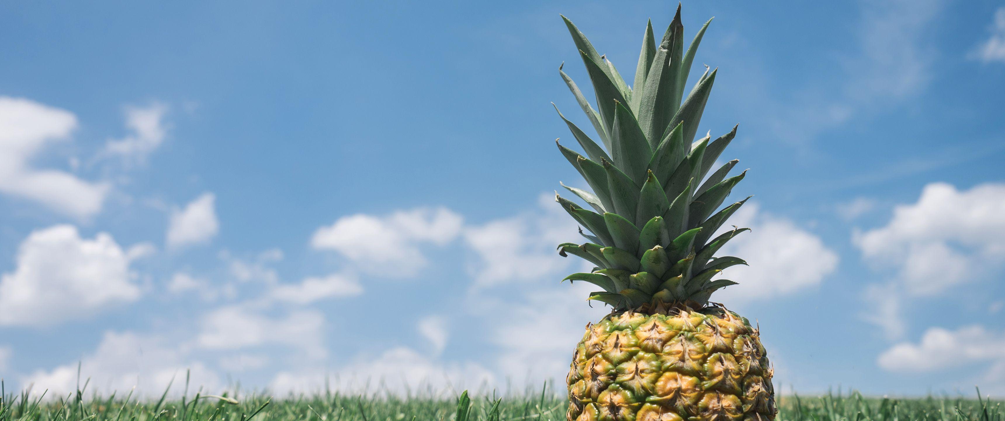 3440x1440 21:9 Ultrawide HD Wallpaper (3440x1440)' Pineapple