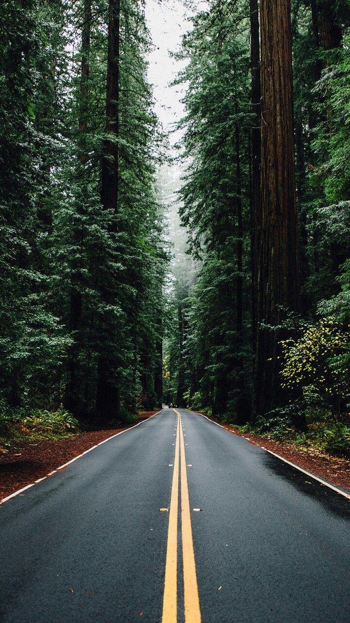 720x1280 Environment. Nature photography