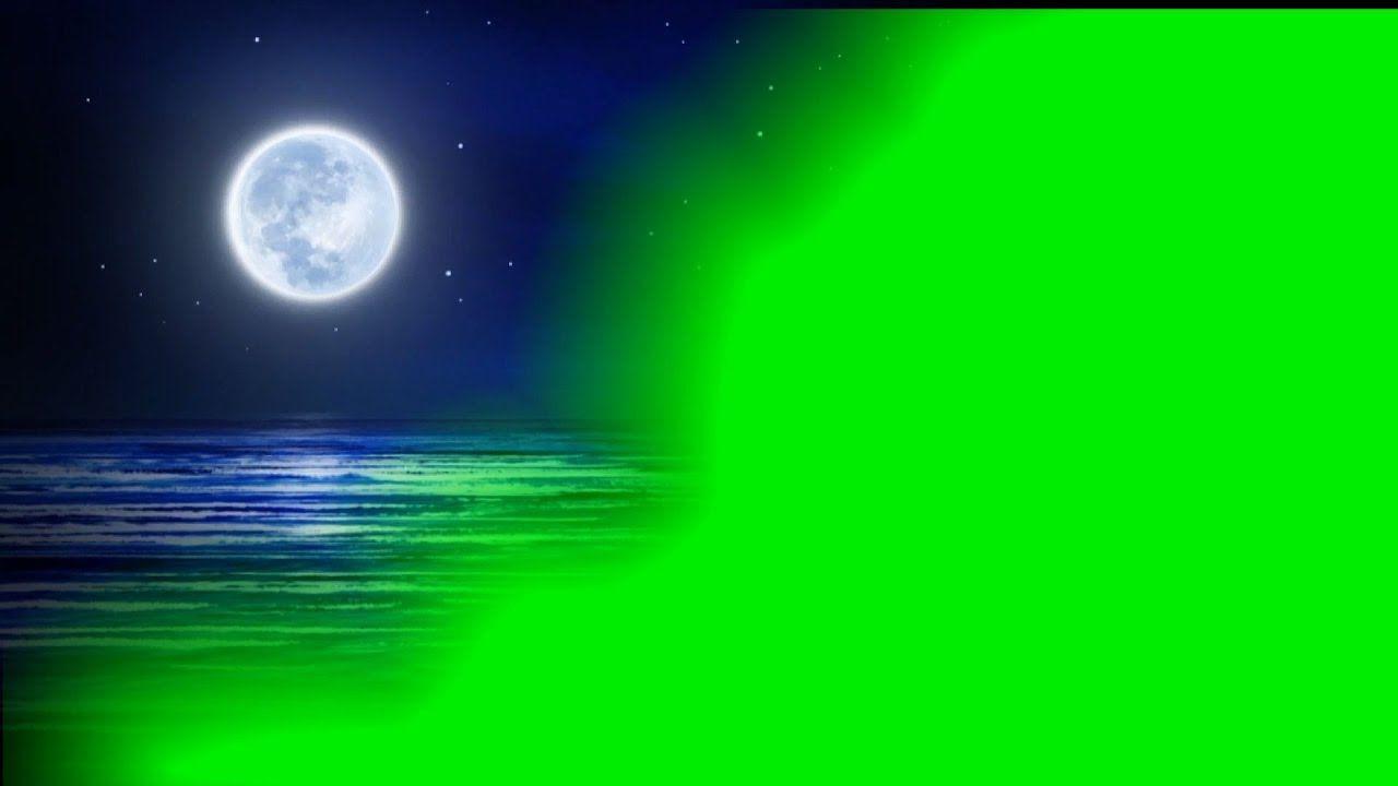 1280x720 Video nền đám cưới Màn đêm xanh.  Màu xanh lá cây ánh trăng