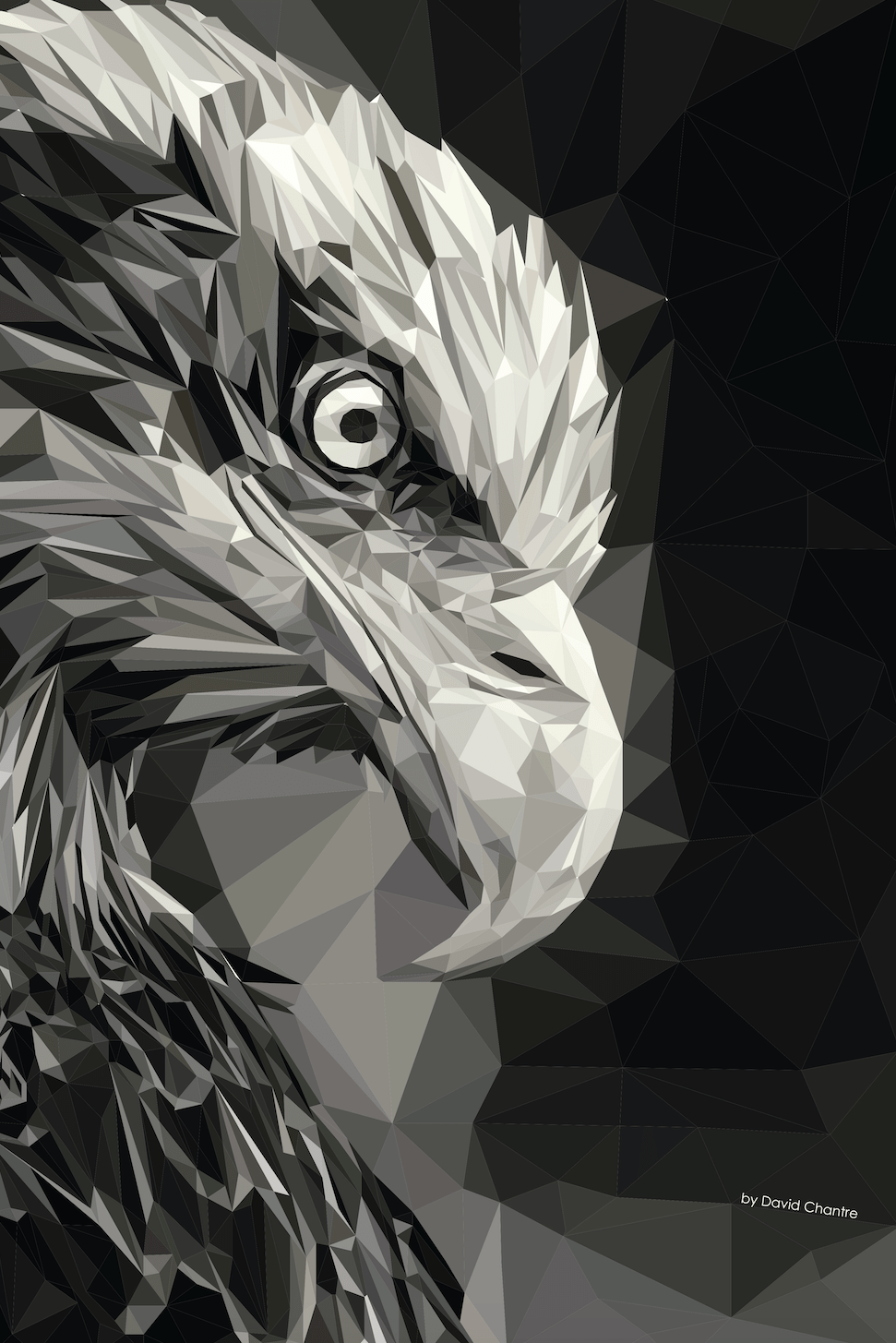 Geometric Eagle Wallpapers - Top Free Geometric Eagle Backgrounds -  WallpaperAccess