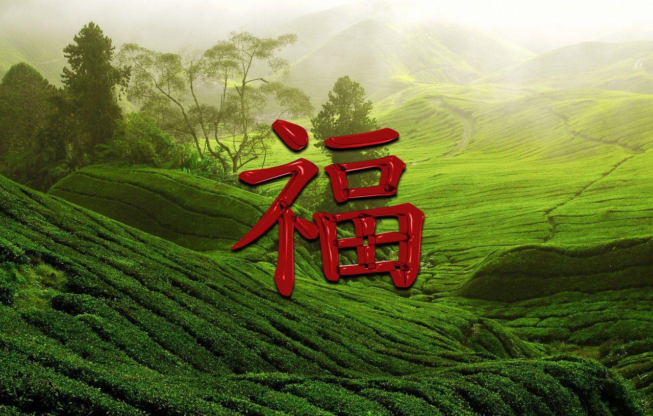 1332x850 Wallpaper happiness, symbol, character, Chinese, Wallpaper