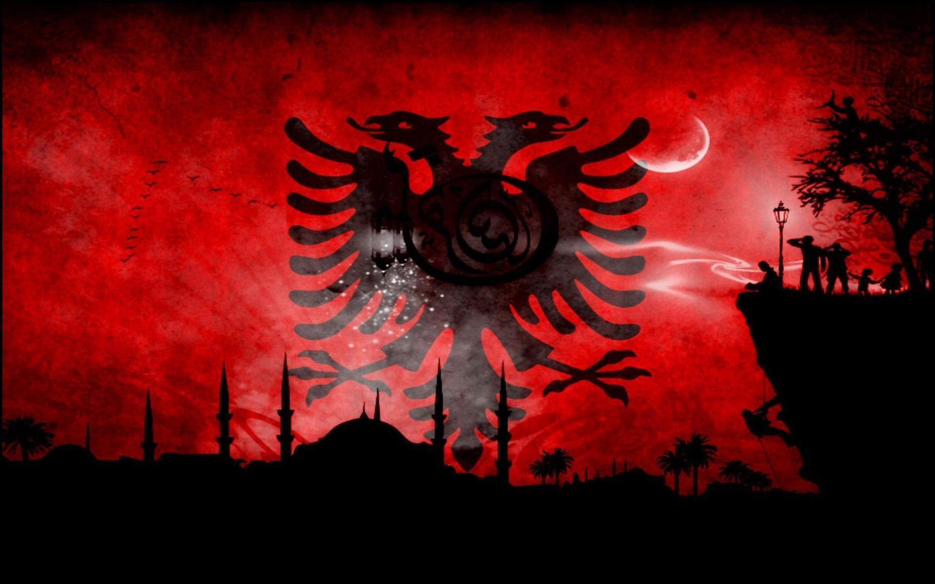 1920x1200 Albanian Eagle Wallpaper
