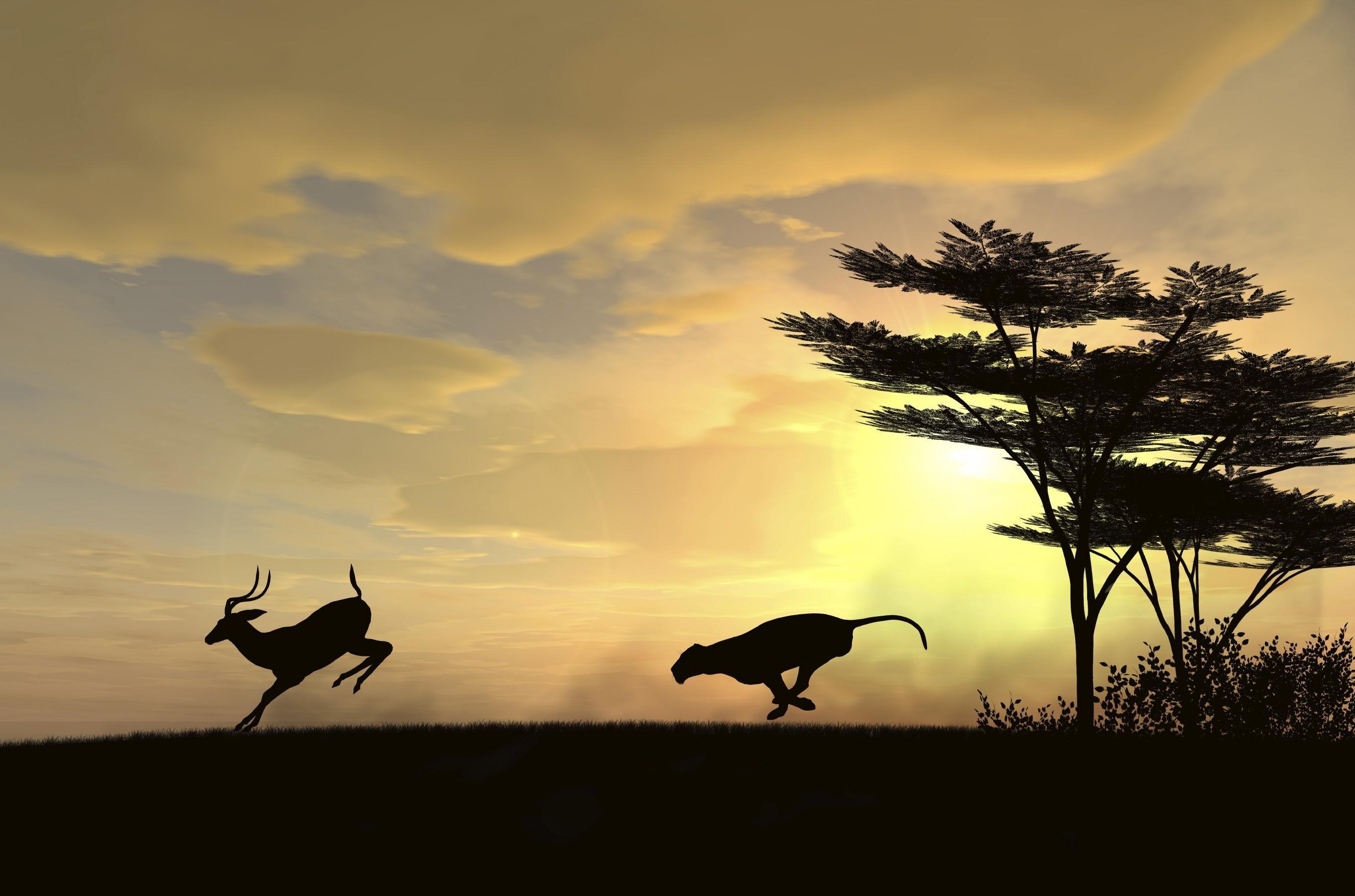 2726x1803 National Geographic Wallpaper Picture