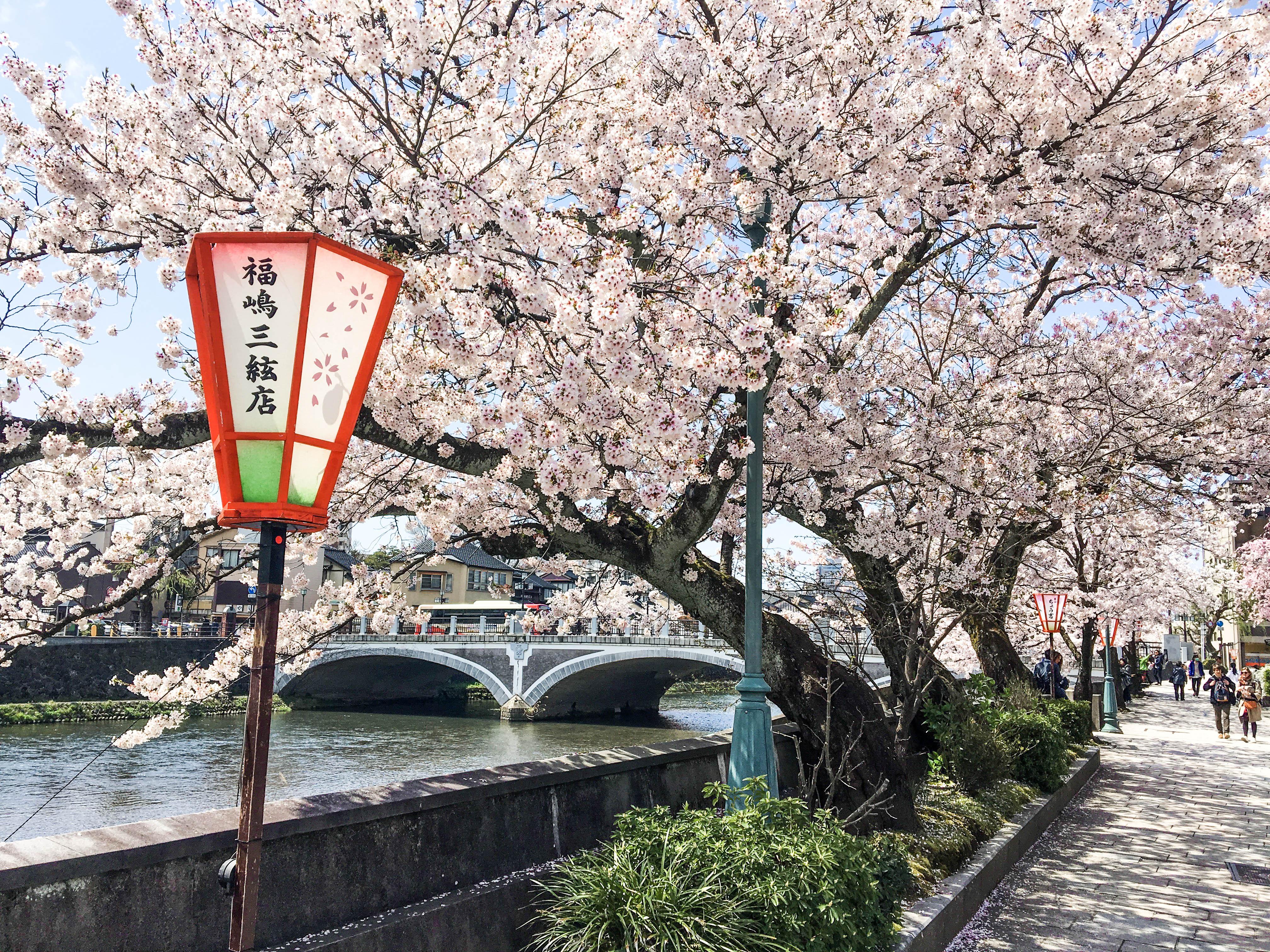 4032x3024 Most Beautiful Places in Japan that you should include in your itinerary