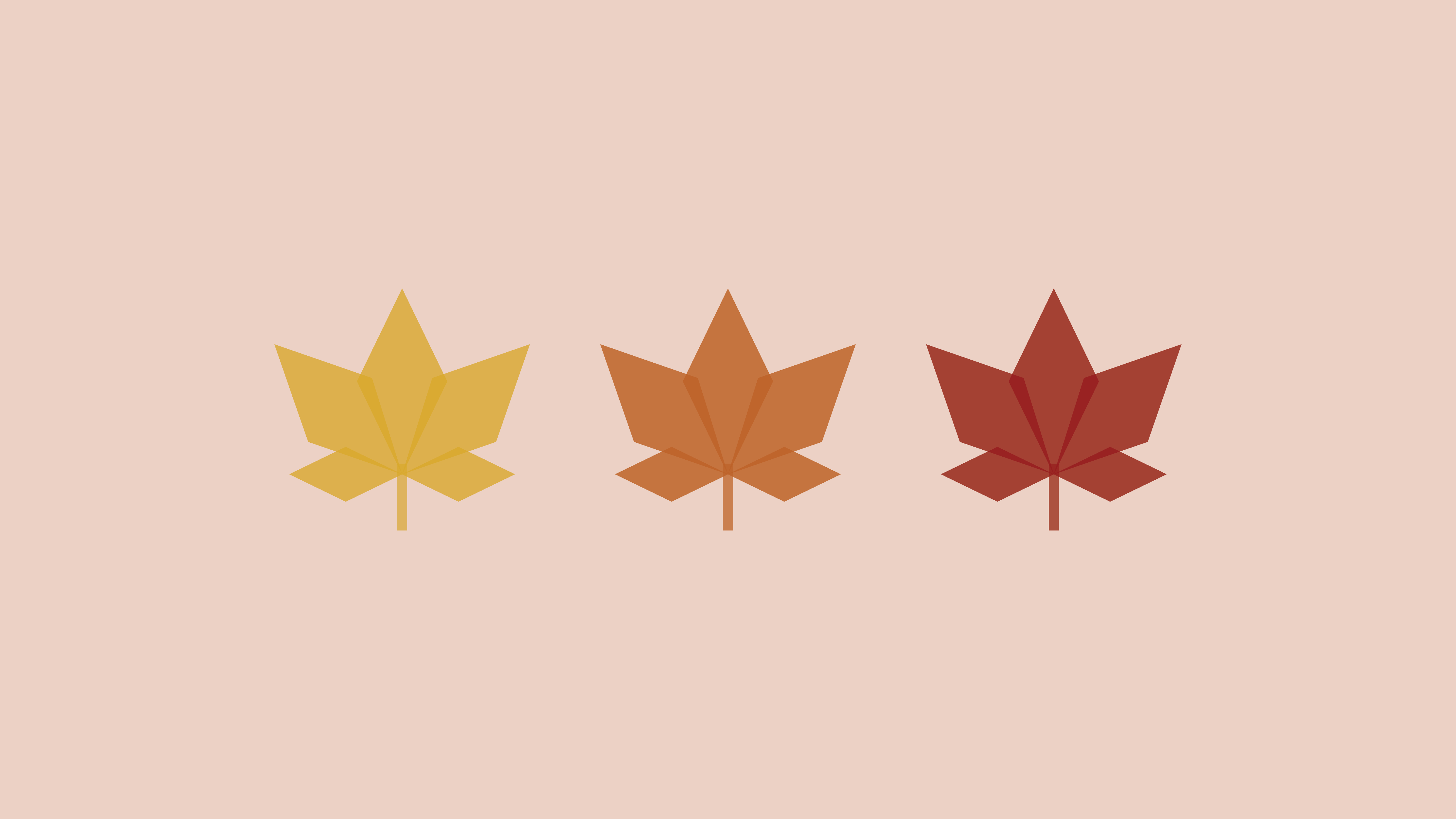 Minimalist Fall Wallpapers Top Free Minimalist Fall Backgrounds Minimalist Fall Wallpapers Top Free Minimalist Fall Backgrounds