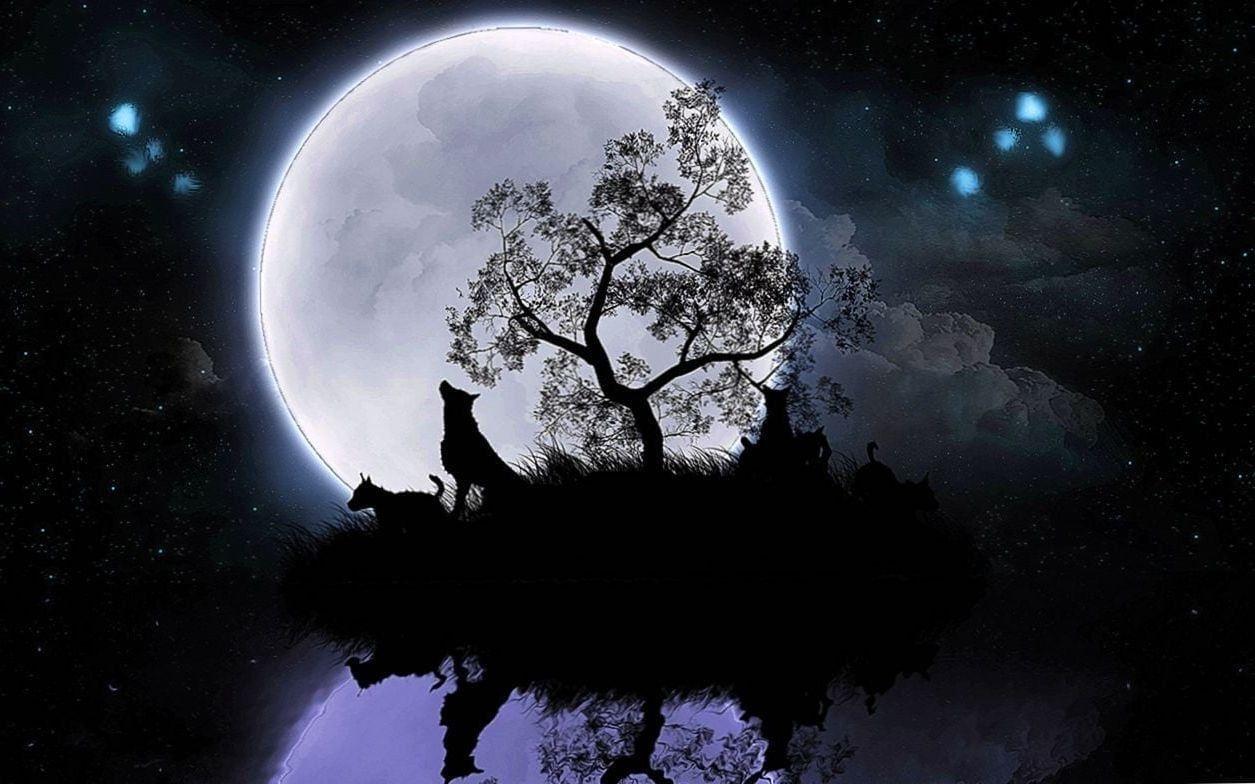 1255x784 Wolf With Moon Wallpaper Background Image