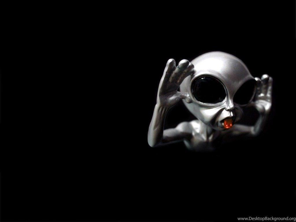 Humour Wallpapers - Top Free Humour Backgrounds - WallpaperAccess