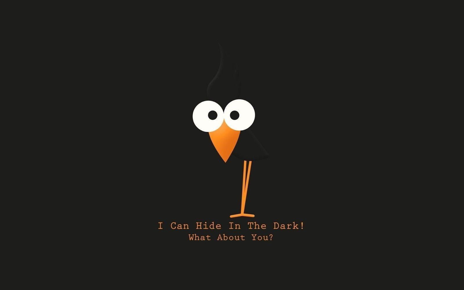1600x1000 Wallpaper Funny