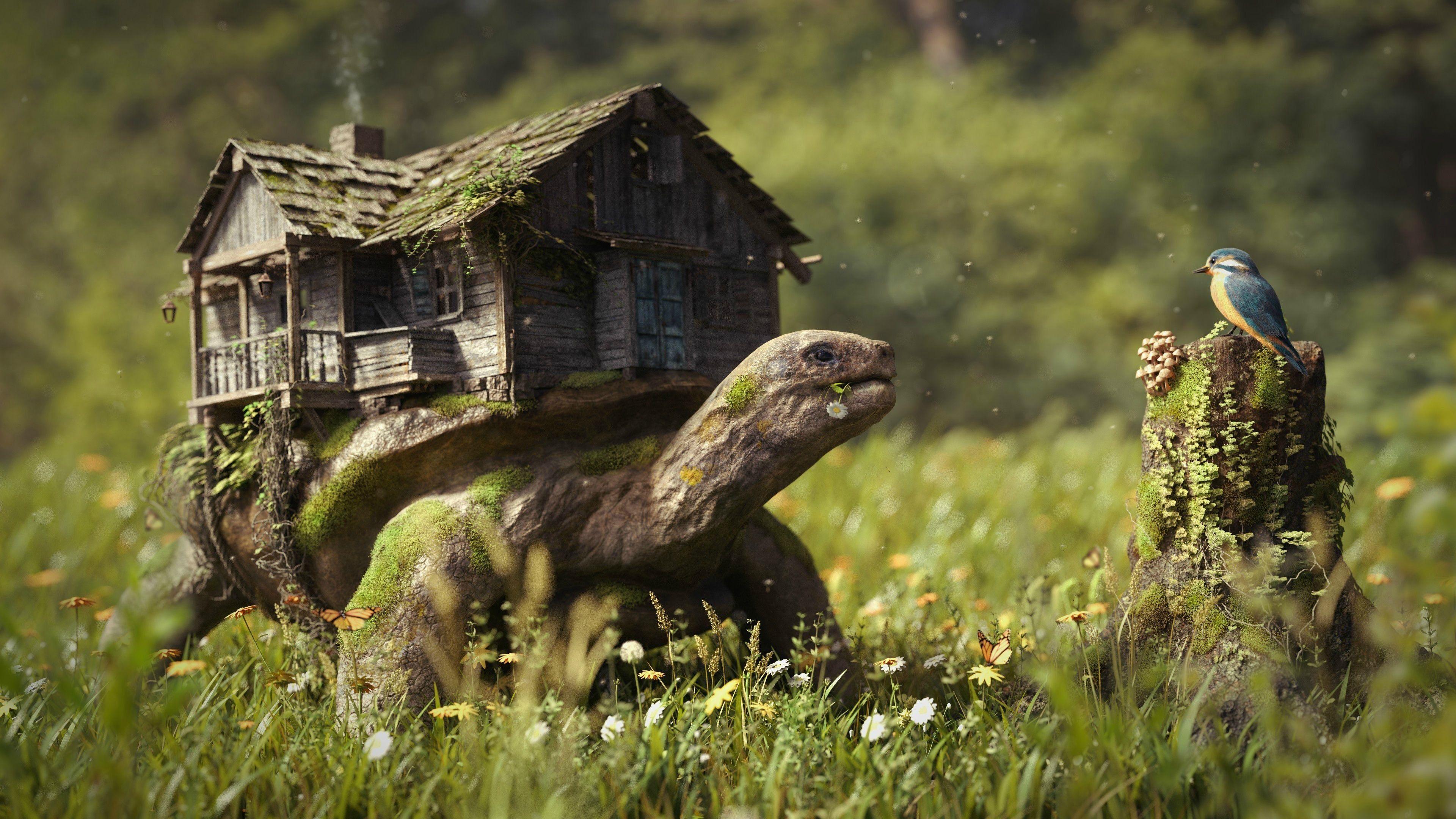 3840x2160 fantasy, Art, Artwork, Artistic, Original, Photohop, Manipulation