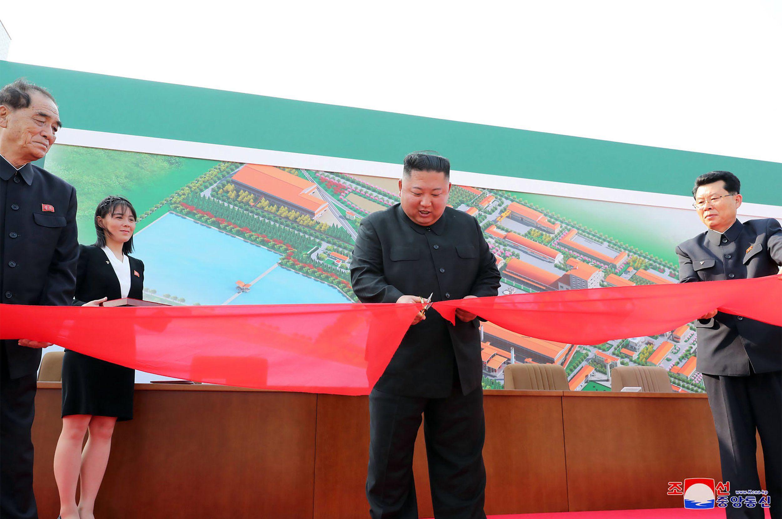 2500x1659 US official: Kim Jong Un image appear legitimate
