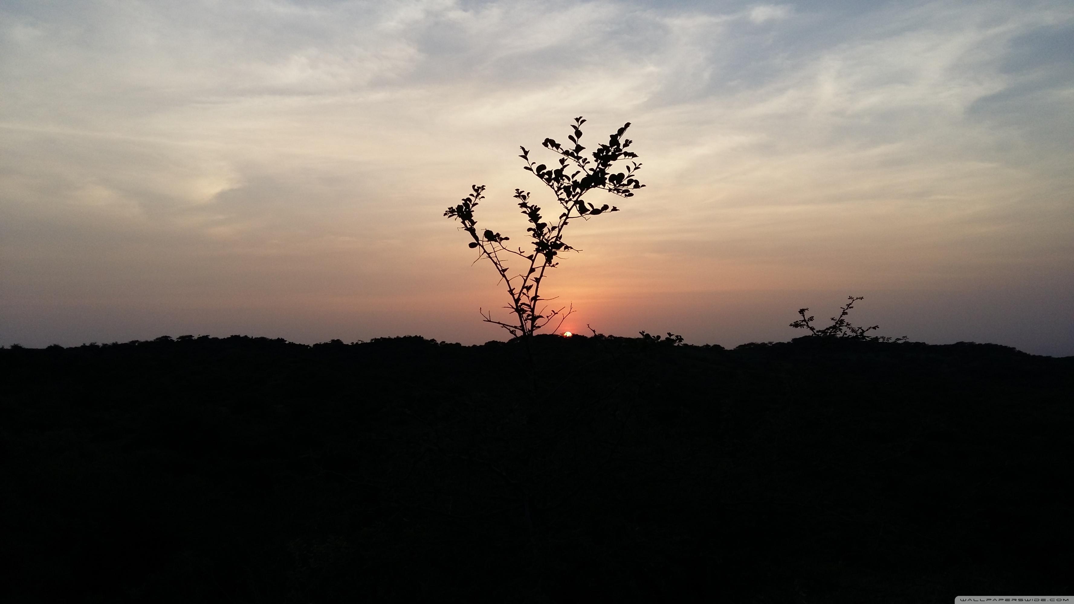 3554x1999 Gujarat Wallpaper