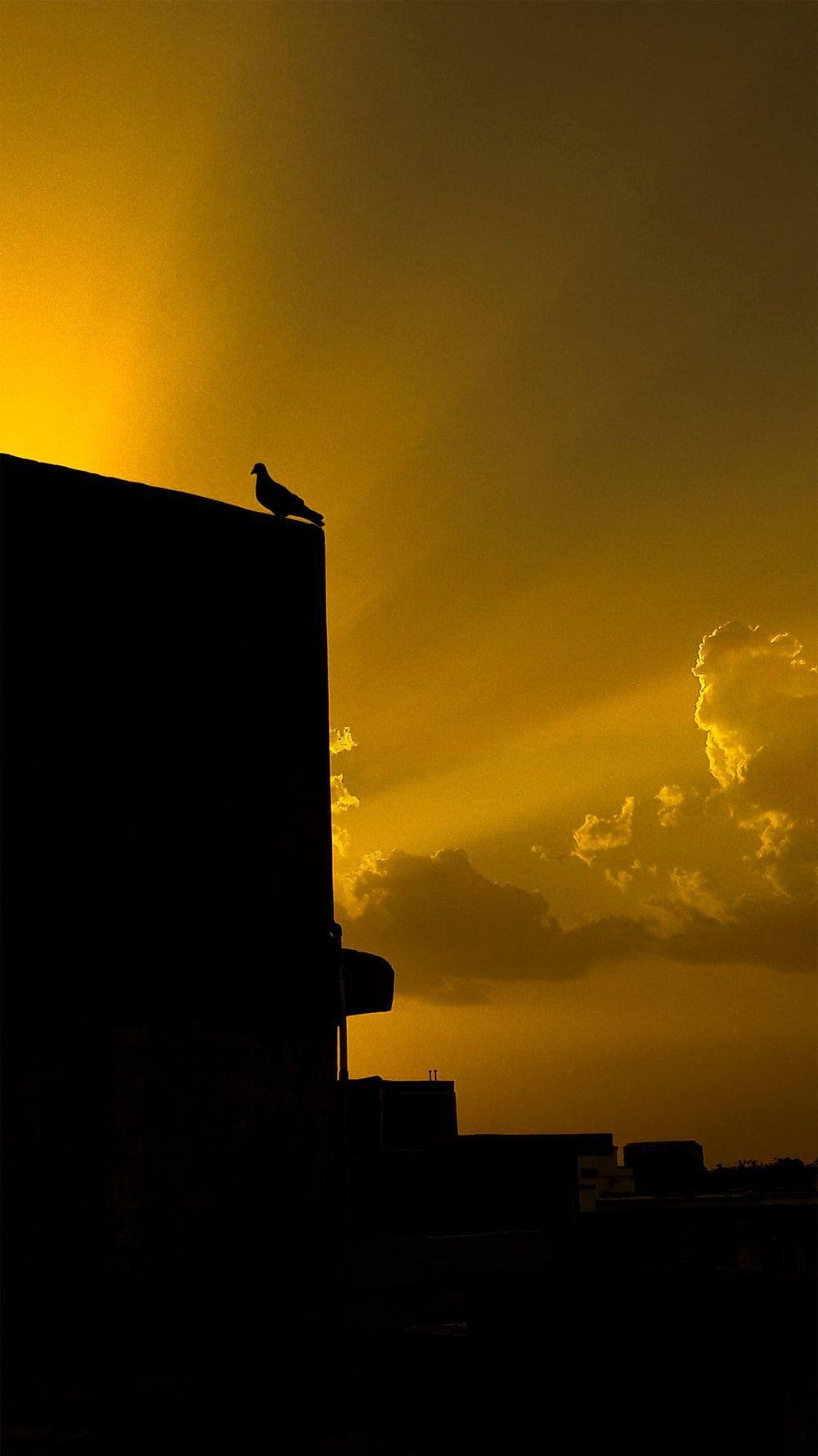 1000x1778 Ahmedabad, Gujarat, India Picture. Download Free Image